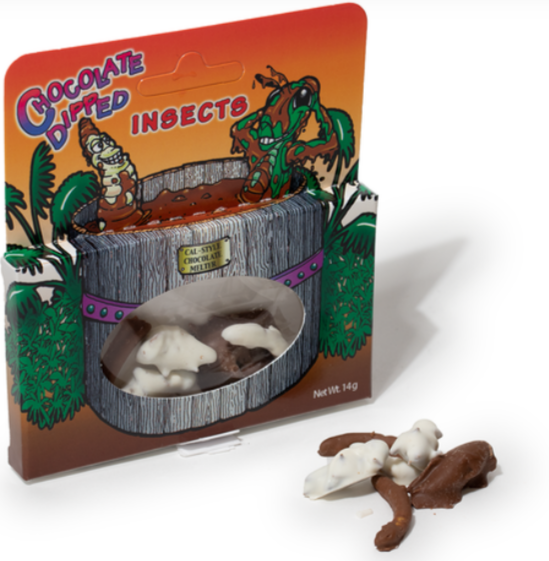 Chocolate Covered Insects - 14g
