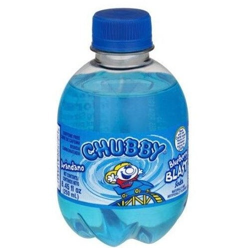 Chubby - Blueberry Blast Soda Bottle (250 ml)